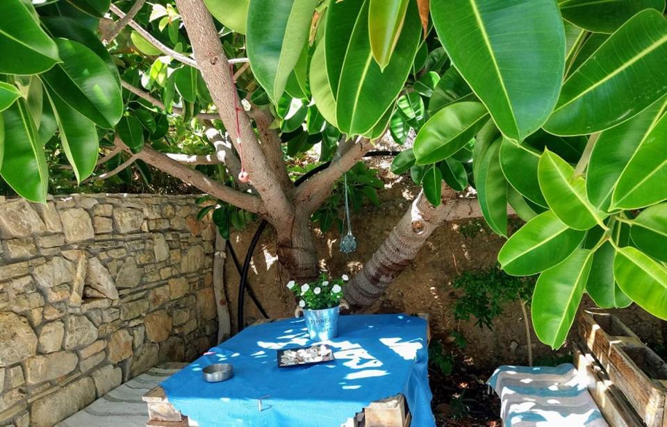 Achlia Sun Day Villa מראה חיצוני תמונה